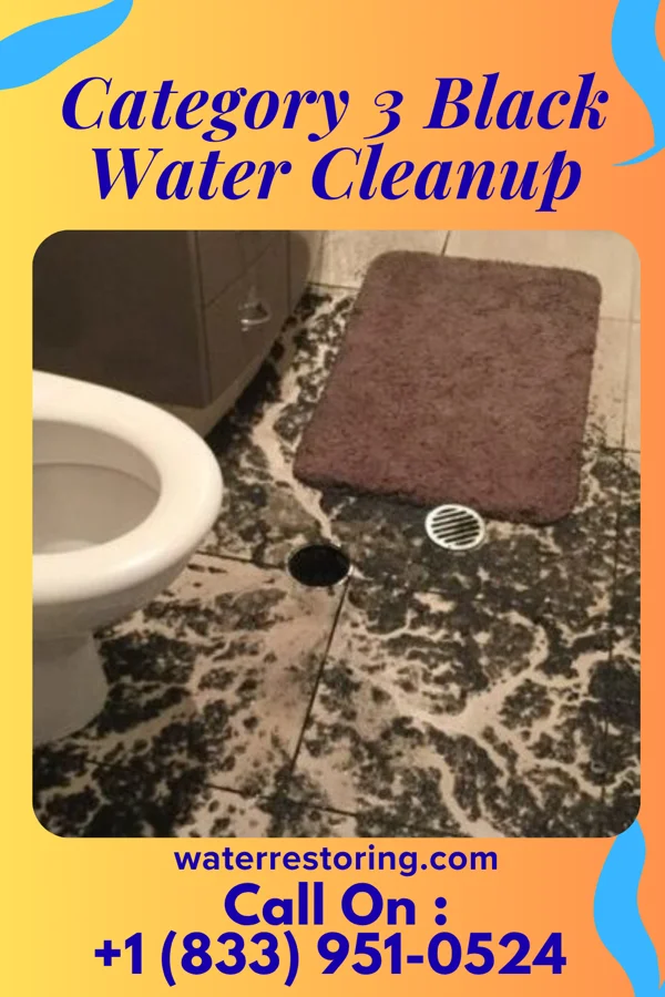 Category 3 Black Water Cleanup in Fort Branch, IN